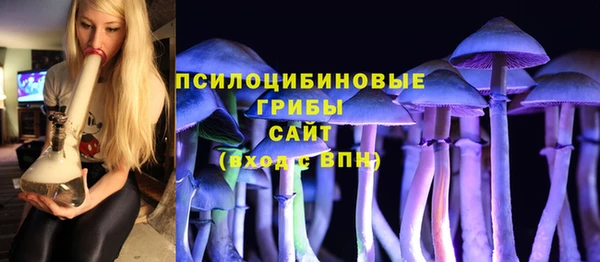 дмт Балахна